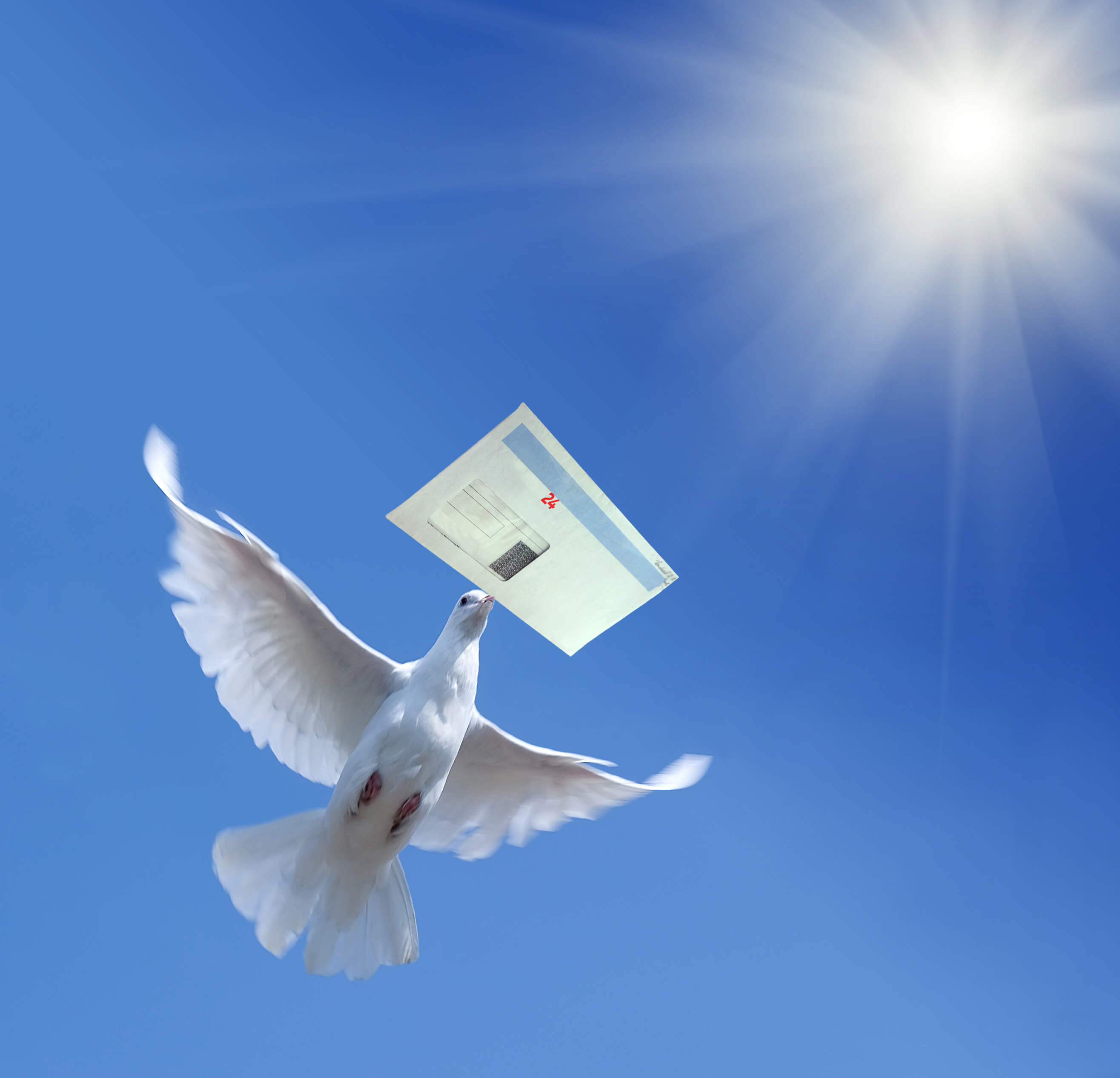 A white dove carrying a letter against a blue sky